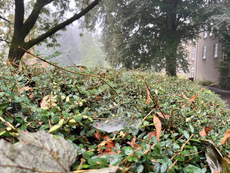 Stilte weeft draden van nabijheid